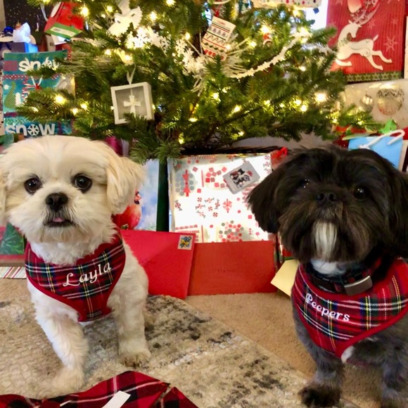 Meet your Posher, Veronica - Picture 3 of 6